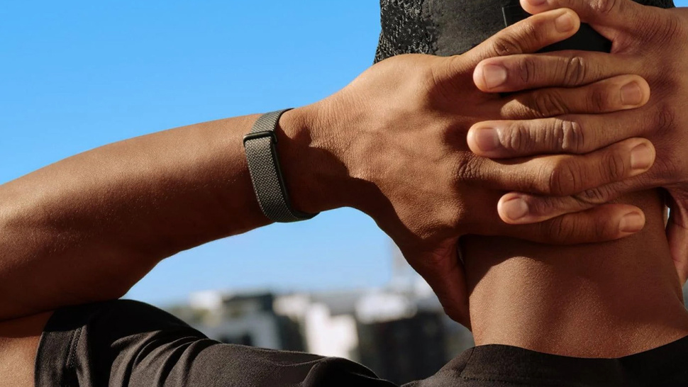 Фитнес-браслет Google Fitbit Air Obsidian — фото 7