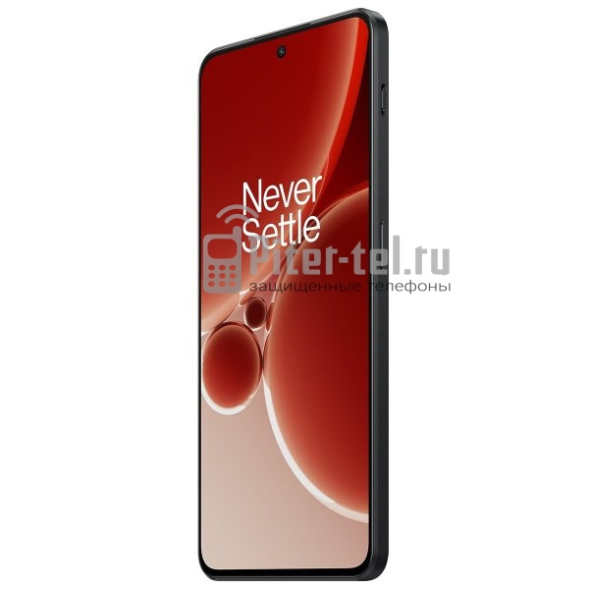 Смартфон OnePlus Nord 3 5G 16/256Gb Global Tempest Gray
