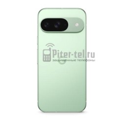 Смартфон Google Pixel 9 12/128Gb Global Wintergreen